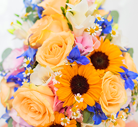 Same day Flowers Seven Sisters